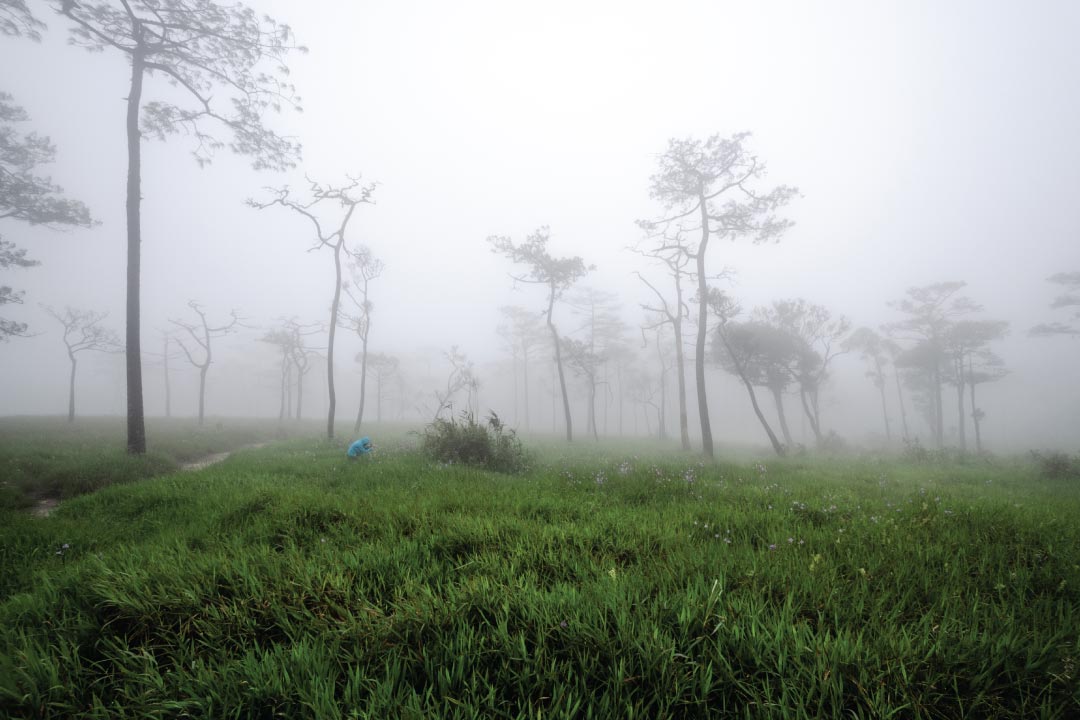 อุทยานแห่งชาติภูสอยดาว