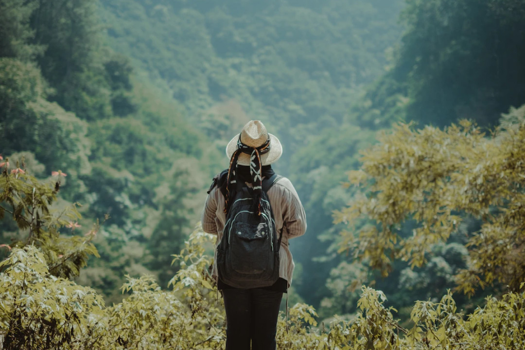 เที่ยวเขาใหญ่แบบ One Day Trip สไตล์สายติสท์