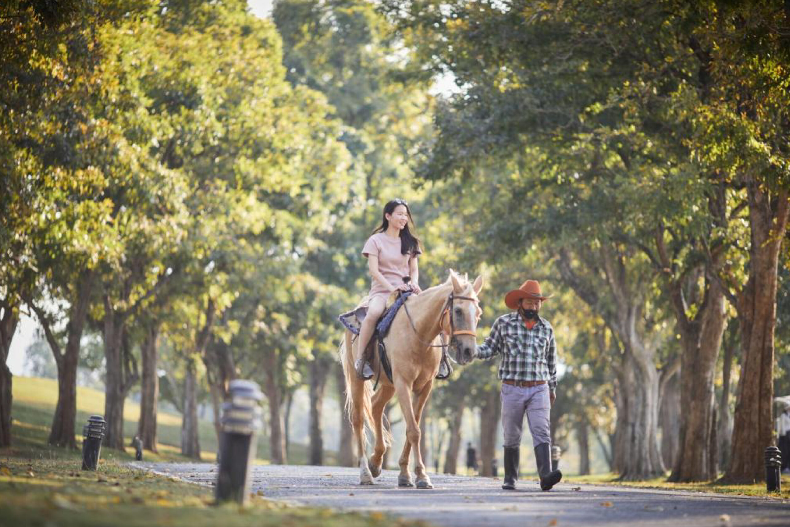 Horse Riding