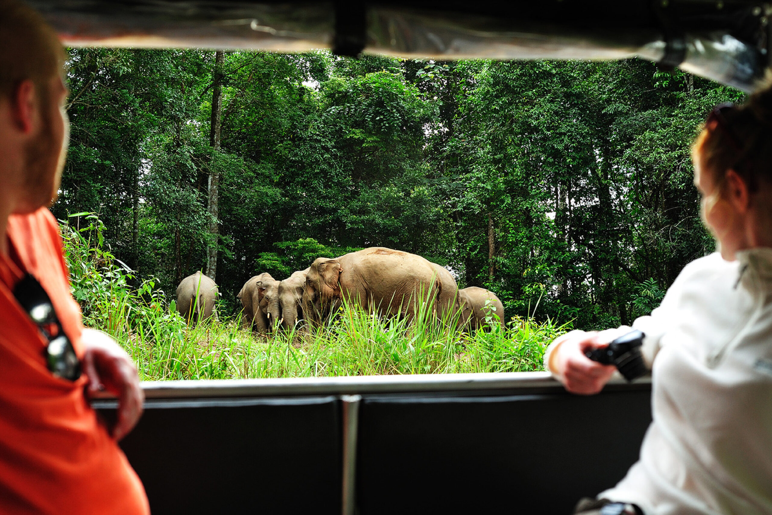 Wildlife Watching at National Park in Pak Chong 