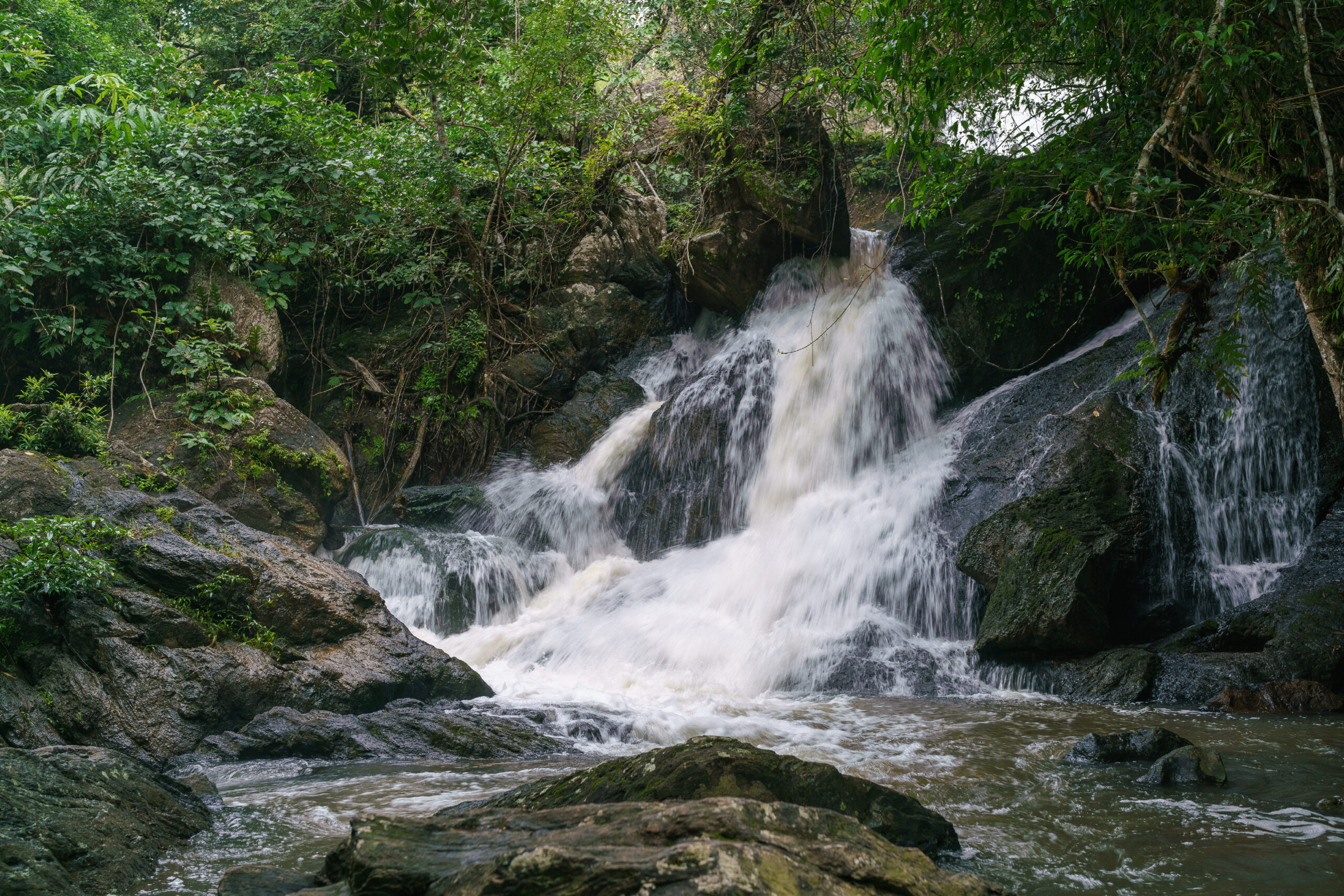 Trail for Birding at Pha Kluai Mai Waterfall