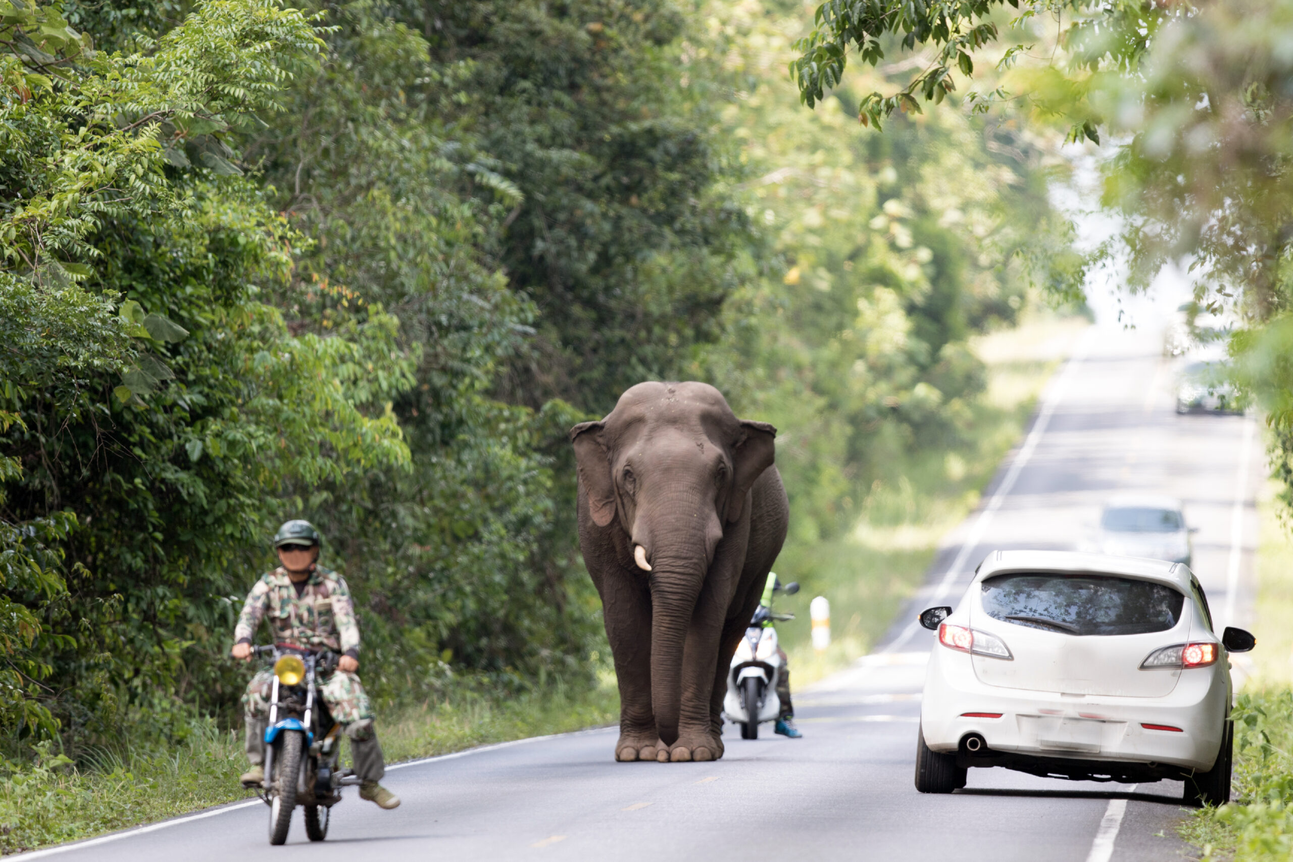 Traveling to Khao Yai: Other Public Transportations.