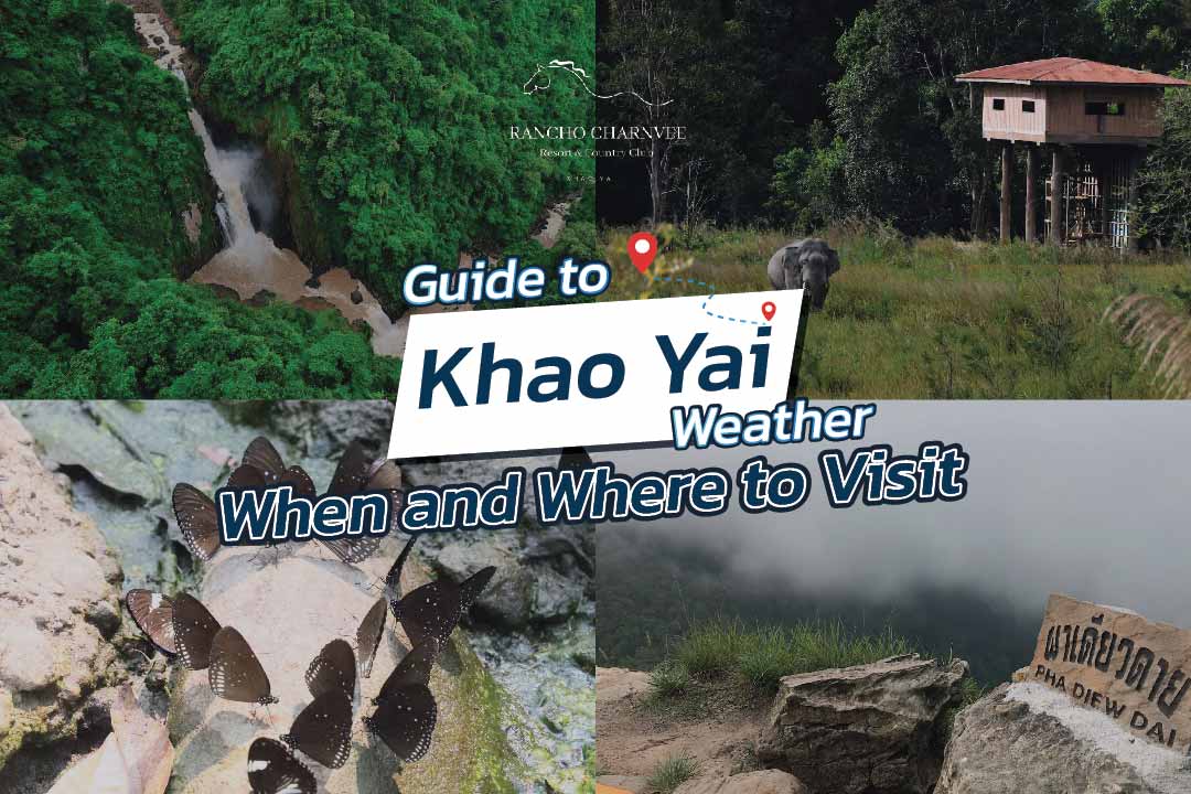 Guide to Khao Yai Weather: When and Where to Visit