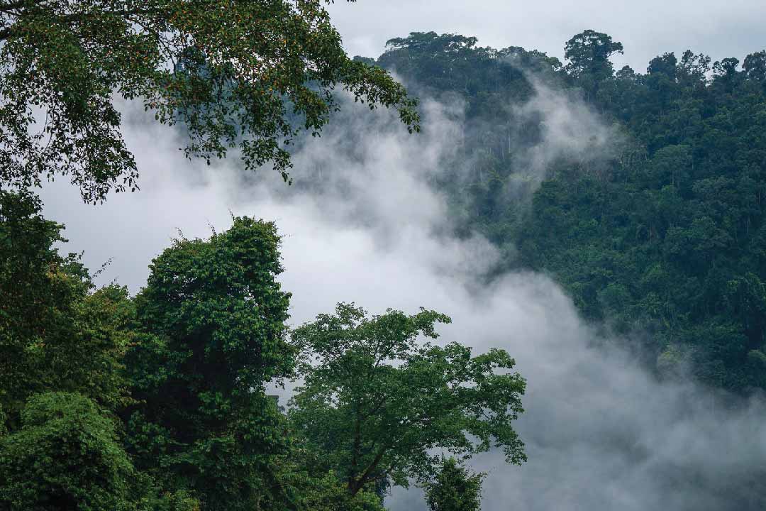 Khao Yai in Winter