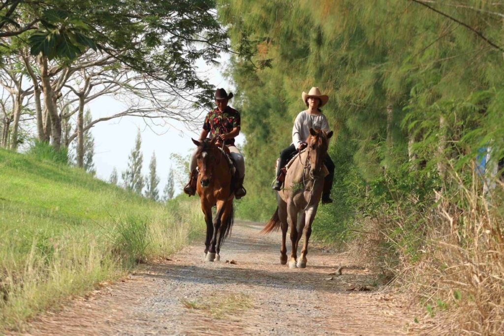 Horseback Riding, Admire the Stunning Natural View