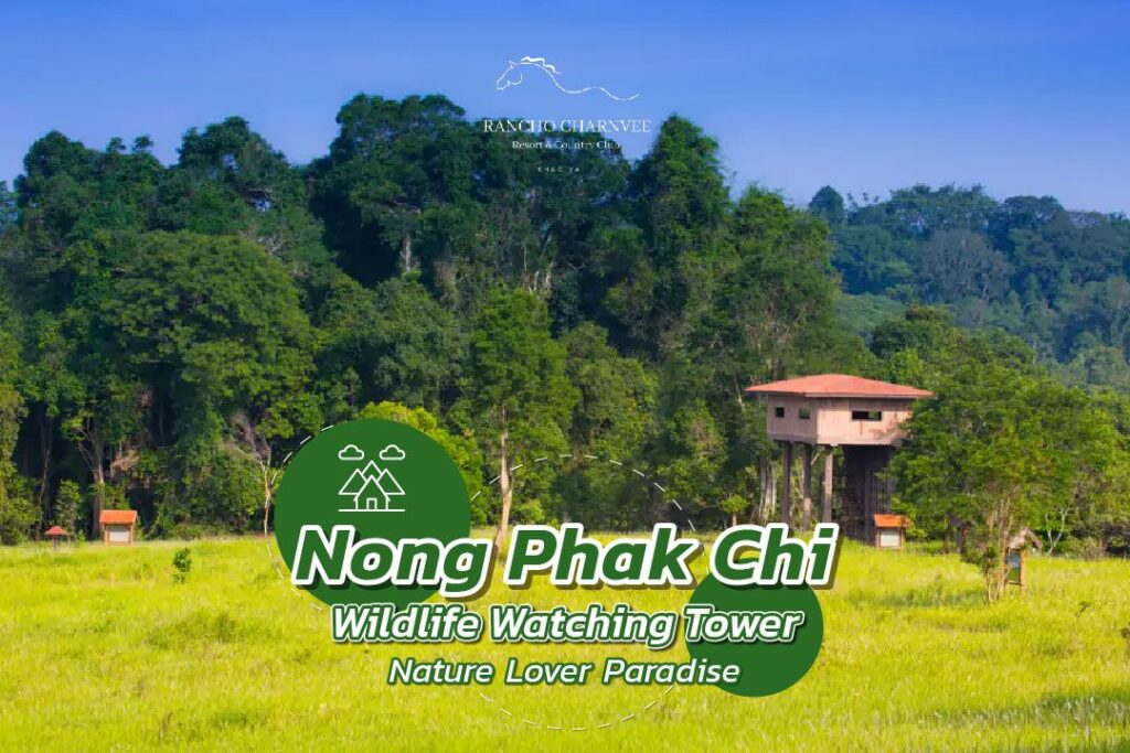 Nong Phak Chi Wildlife Watching Tower: Nature Lover Paradise