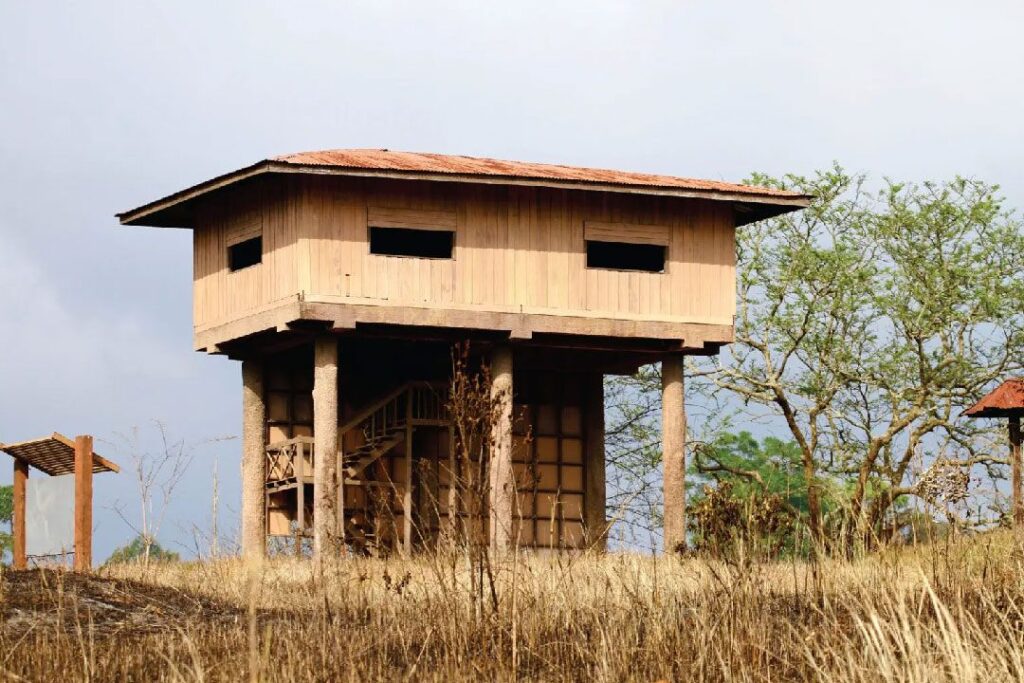 Get to Know Nong Phak Chi Wildlife Watching Tower